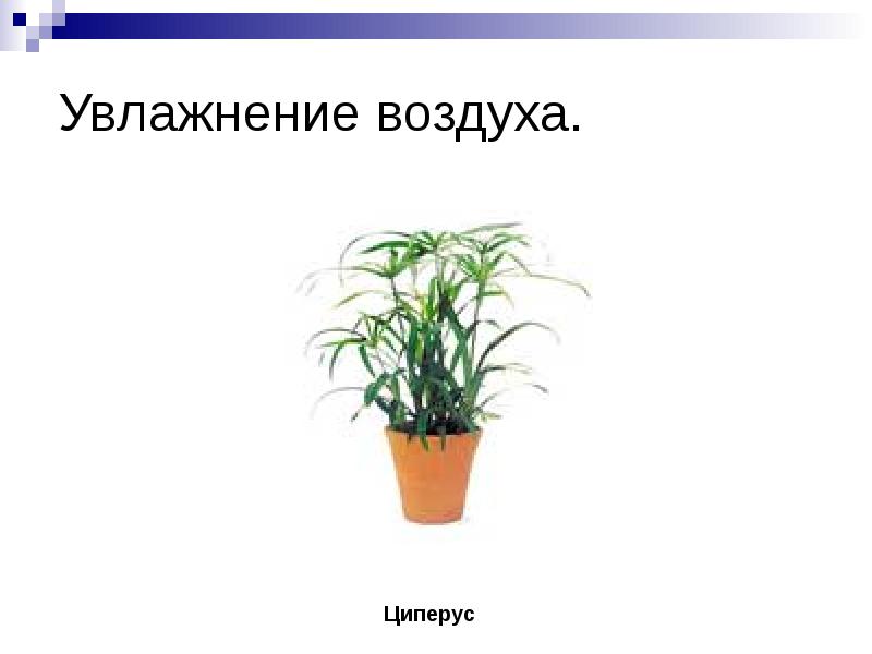 Экологические здоровьесберегающие технологии (ЭЗТ) (по Н. Смирнову), слайд 13