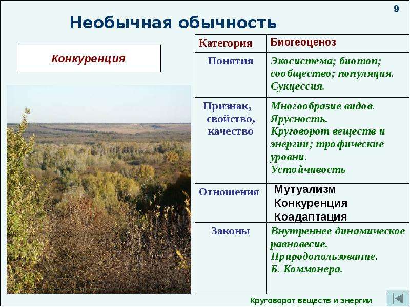 Понятие о природном сообществе биогеоценозе и экосистеме 6 кл презентация