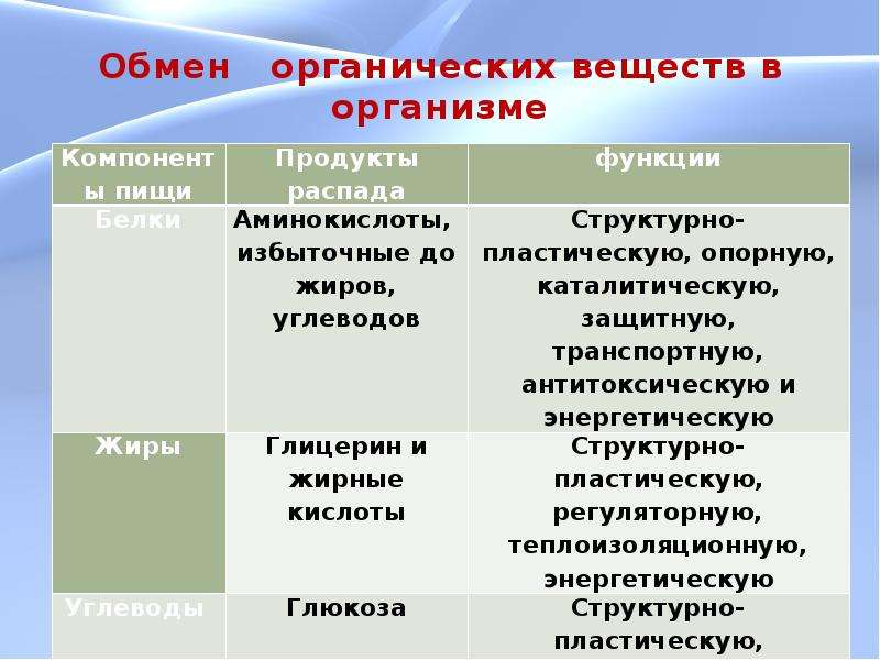 Обмен органических веществ 8 класс презентация