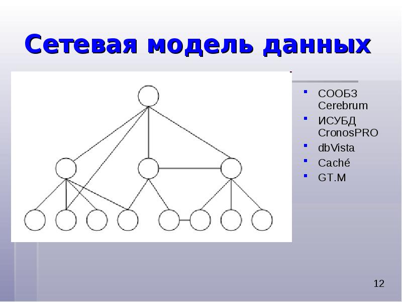 Сетевые модели презентация