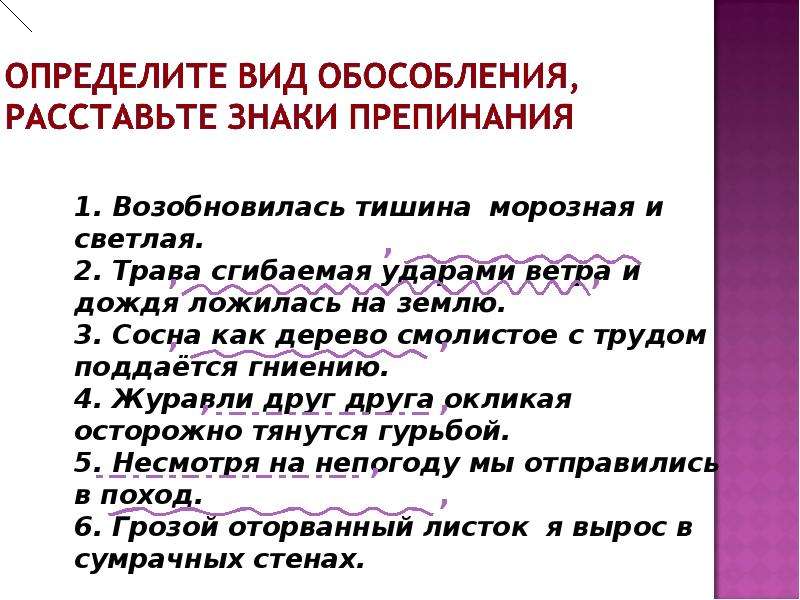 Расставьте знаки препинания обособленные дополнения подчеркните