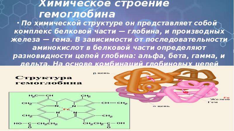 Производное железы. Строение бета цепей гемоглобина. Первичная структура гемоглобина. Химическая структура гемоглобина. Гемоглобин связи в молекуле.