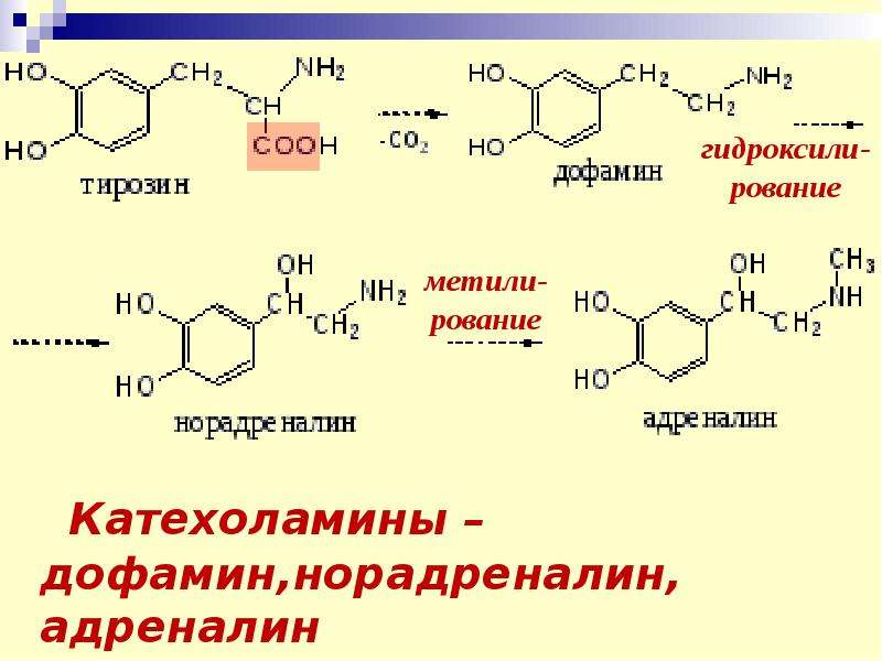 Биологически важные