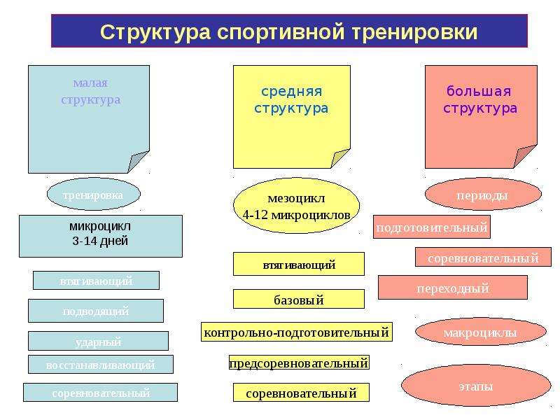 Виды тренировочного процесса. Структура и содержание самостоятельной спортивной тренировки. Структура спортивной подготовки. Структура построения спортивной тренировки.. Компонент структуры спортивной тренировки.