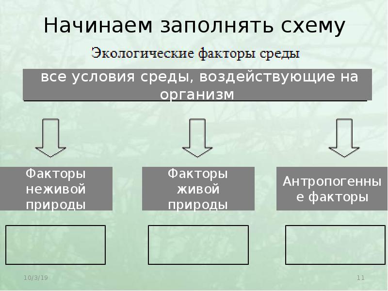 Экологические факторы схемы