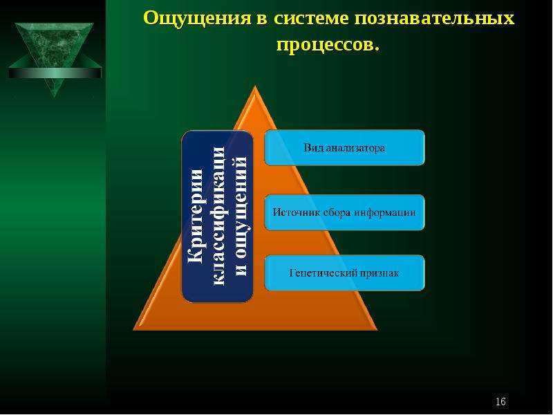 Психологические процессы презентация