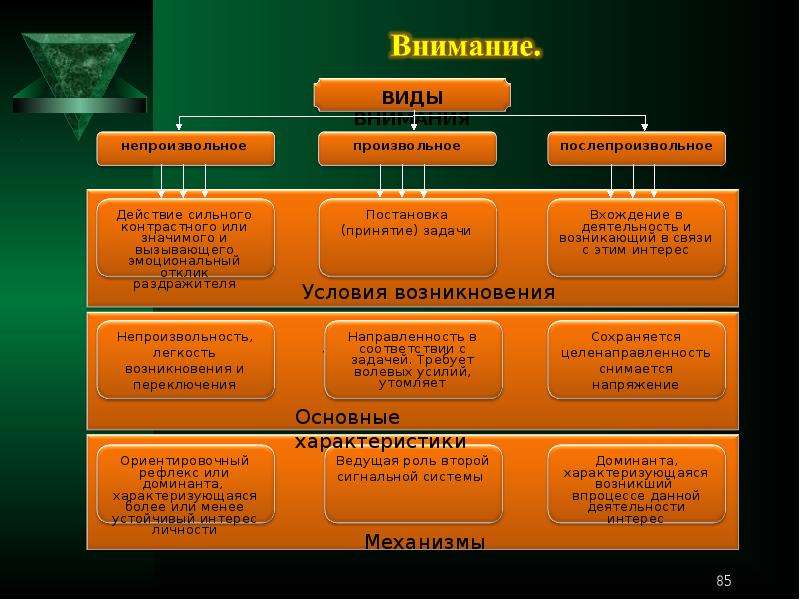 Познавательные процессы 8 класс презентация