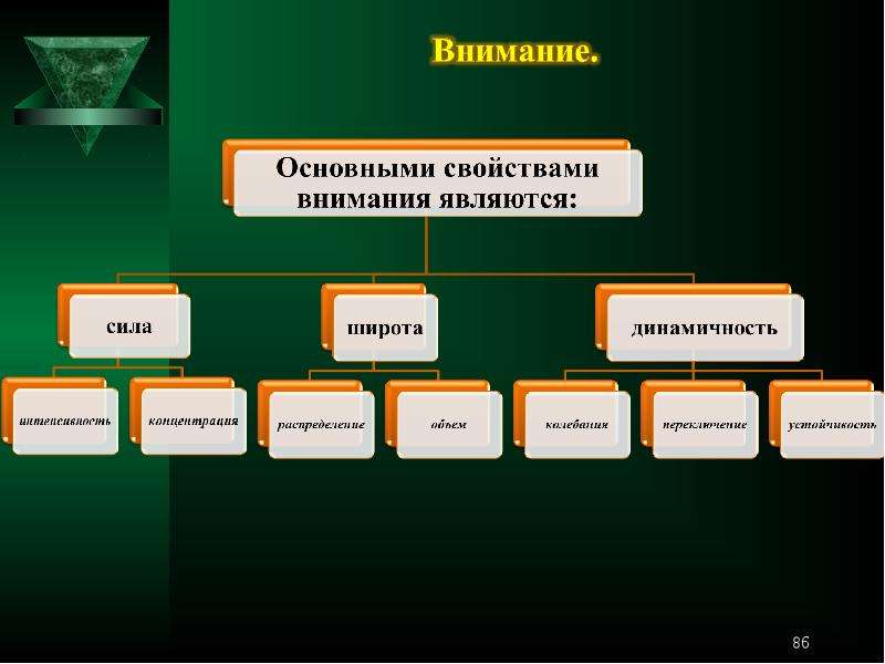 Самостоятельные познавательные процессы. Познавательные психические процессы картинки. Познавательные процессы в психологии картинки. Познавательный психический процесс внимание презентация. Какие есть Познавательные процессы.