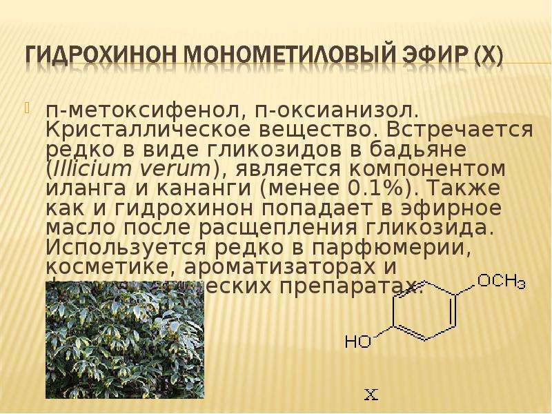 Проявляющее вещество. Метоксифенол. Метоксифенол получение. Гидрохинон презентация. 4 Метоксифенол формула.