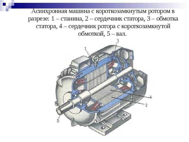 Машины переменного тока виды