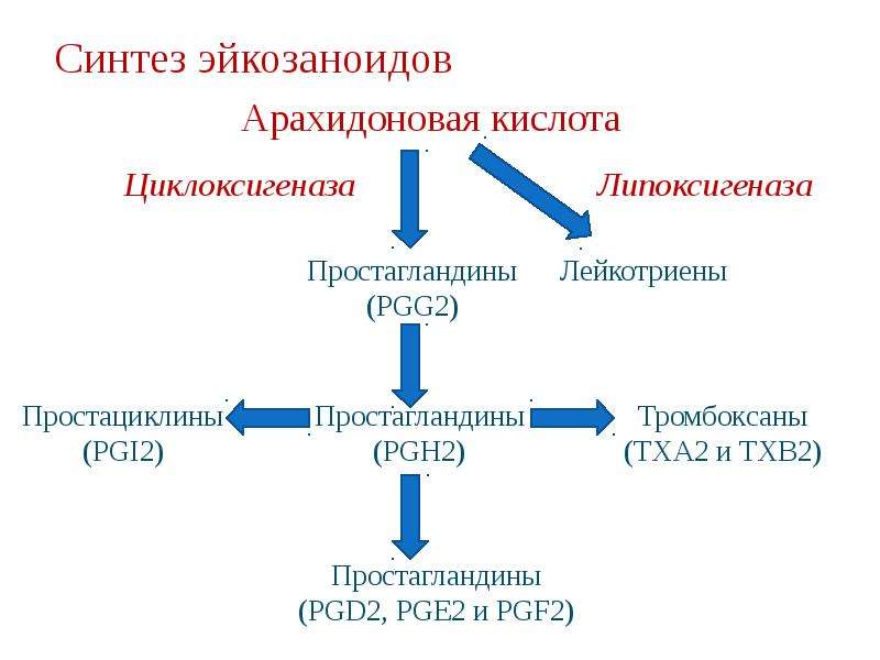 Простагландины и лейкотриены схема синтеза и их биологические функции