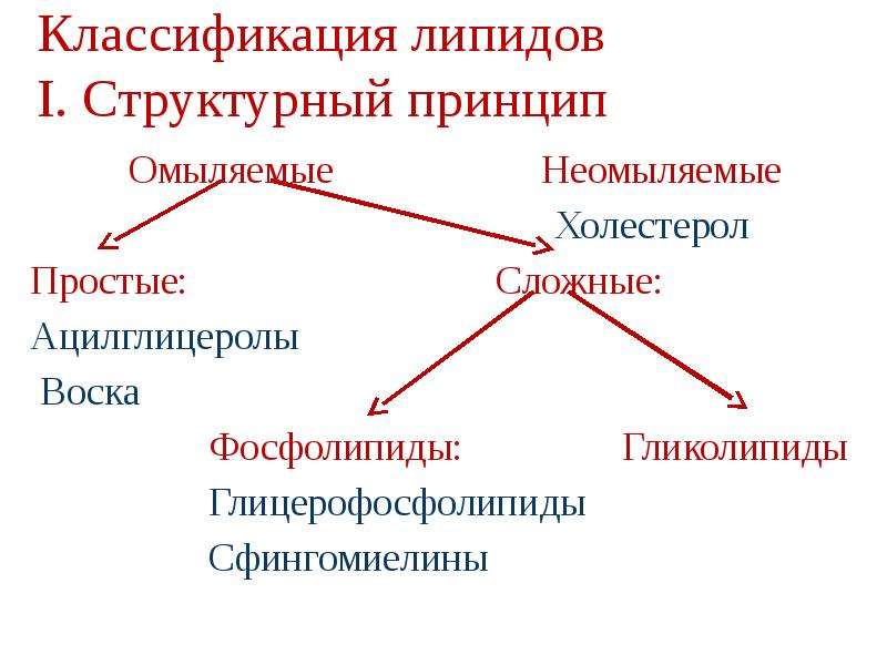 Неомыляемые липиды презентация