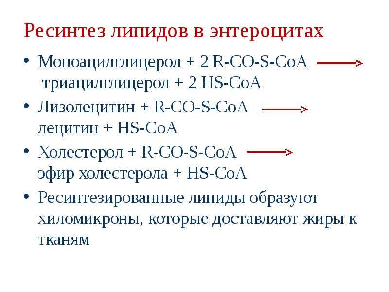 Ресинтез таг и образование эфиров холестерина в стенке кишечника