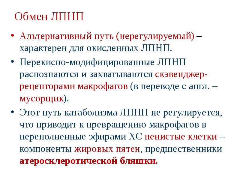 Липиды лпнп. Липопротеины высокой плотности обмен. Липопротеины высокой плотности катаболизм. Метаболизм липопротеидов. Метаболизм липопротеинов высокой плотности.