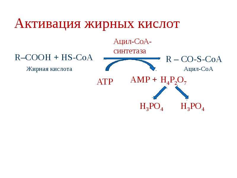 Реакция активации