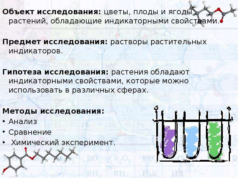 Памятью обладают растения стекло вода. Растительные индикаторы химия. Опыты с растительными индикаторами. Природные индикаторы в химии презентация. Свойства природных объектов.