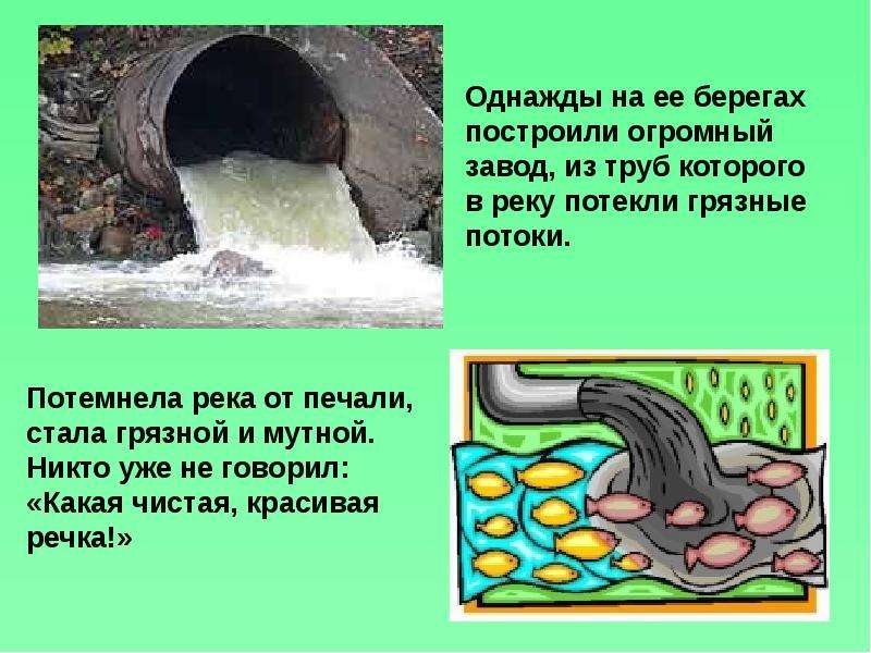 Проект беречь воду