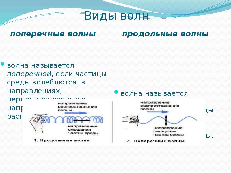 Волны и их виды