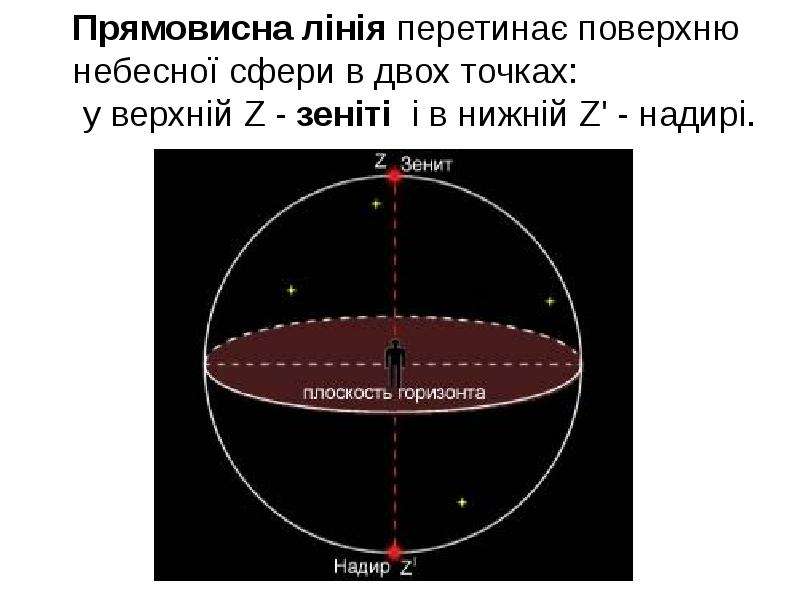 Прямовисна лінія перетинає поверхню небесної сфери в двох точках: у верхній Z - зеніті і в нижній Z&