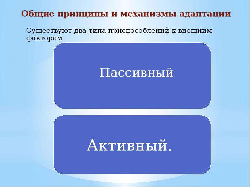 5 основных принципов. Общие принципы и механизмы адаптации. Медико-биологические основы безопасности. Механизмы адаптации человека. Общие принципы адаптации организма человека.