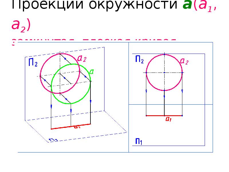 Проекция окружности