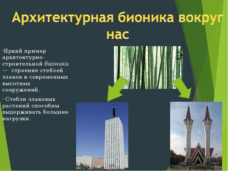 Презентация на тему бионика