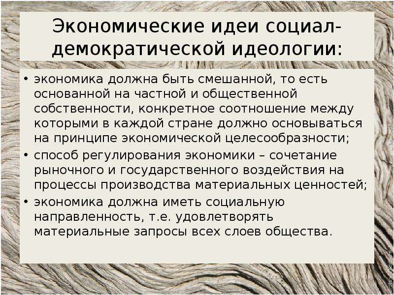 Основные идеи социал демократов