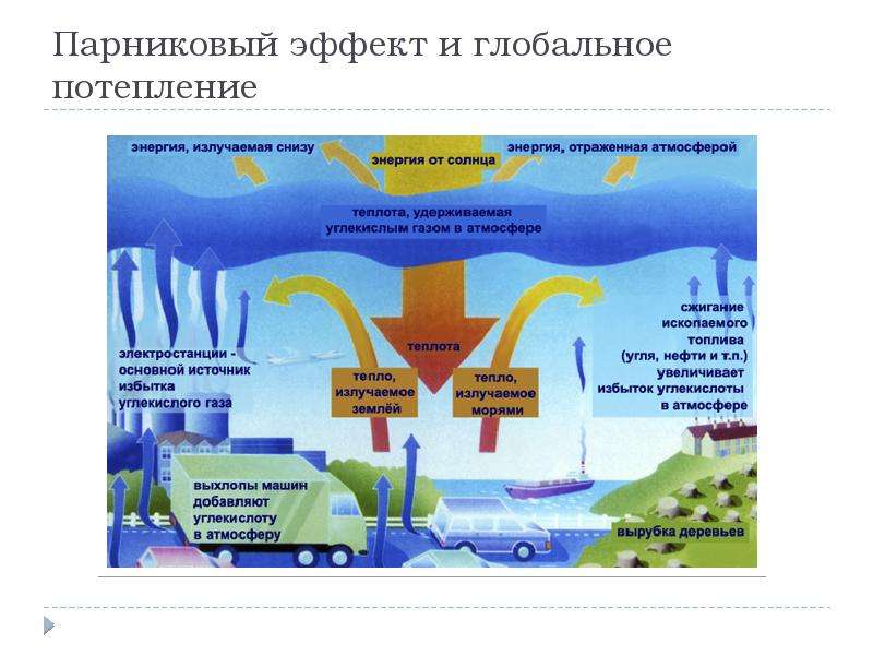 Экологическая катастрофа проект