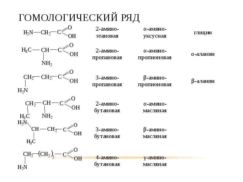 Азотсодержащие соединения презентация 10 класс