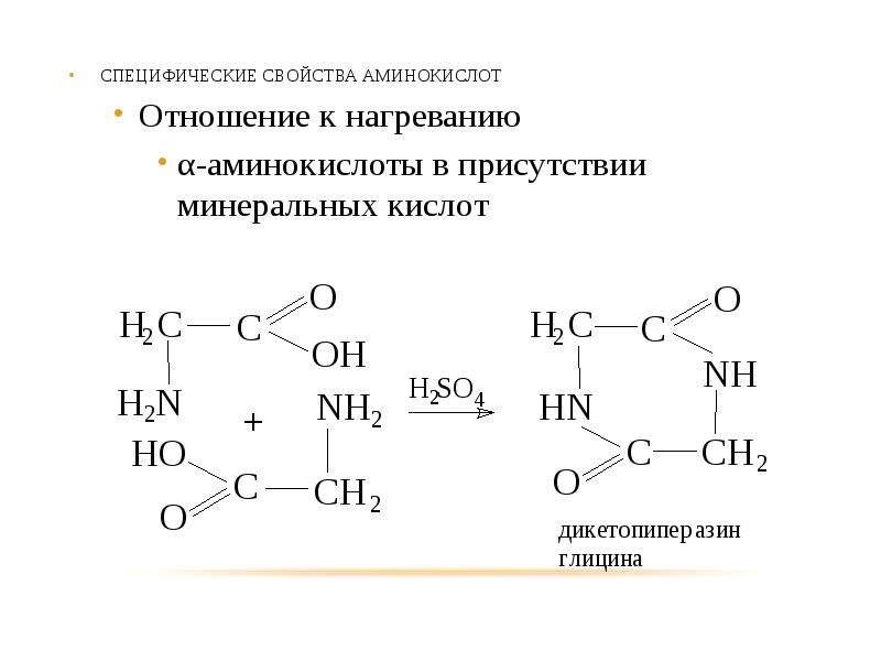 Азотосодержащее органическое соединение амины презентация