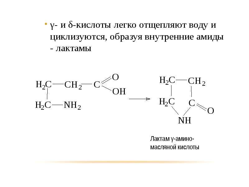 Легкие кислоты. Лактам γ-аминовалериановой кислоты. Аминовалериановая кислота структурная формула. Нагревание аминовалериановых кислот. Γ-аминокислоты образуют лактамы.