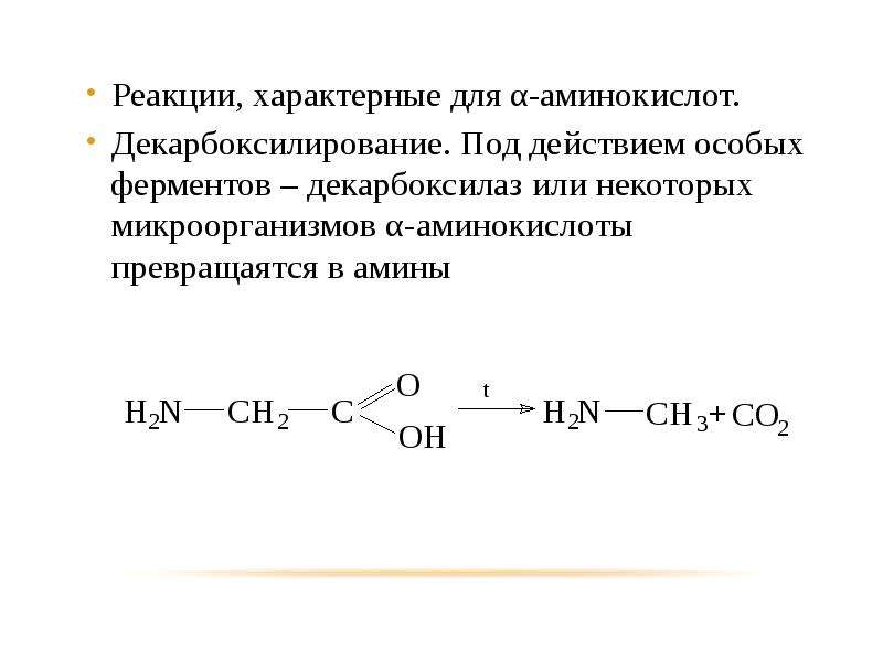 Азотсодержащие гетероциклические соединения нуклеиновые кислоты презентация 10 класс