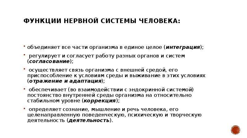 История неврологии презентация