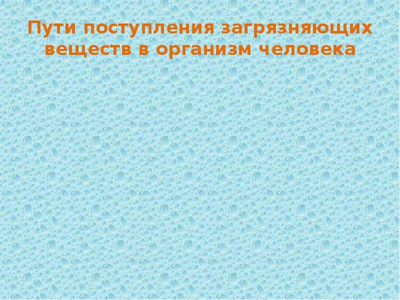 Поступивший в пути. Пути поступления загрязняющих веществ в живой организм.