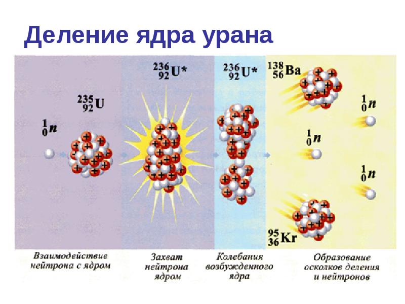 Ядро уравнения. Деление ядра урана цепная ядерная реакция ядерный реактор. Цепные ядерные реакции деления ядер урана. Цепная реакция деления ядер урана-235. Цепная реакция деления ядер 9 класс физика.