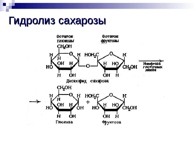 Схема гидролиза крахмала