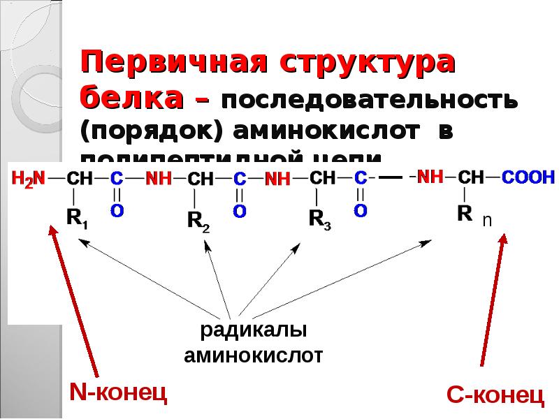 Первичная структура белка презентация