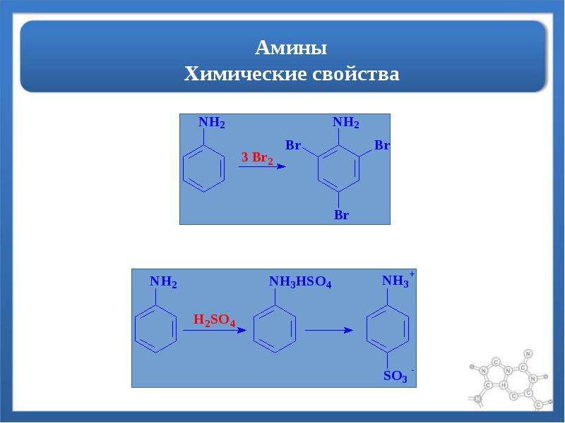 Ароматические амины химические свойства. Амины химические свойства.