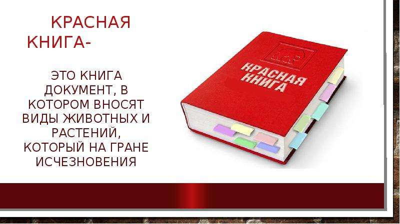 Твоя красная книга