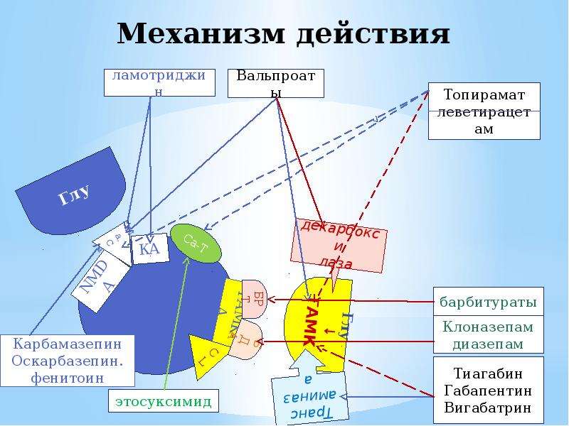 Укажите механизм действия