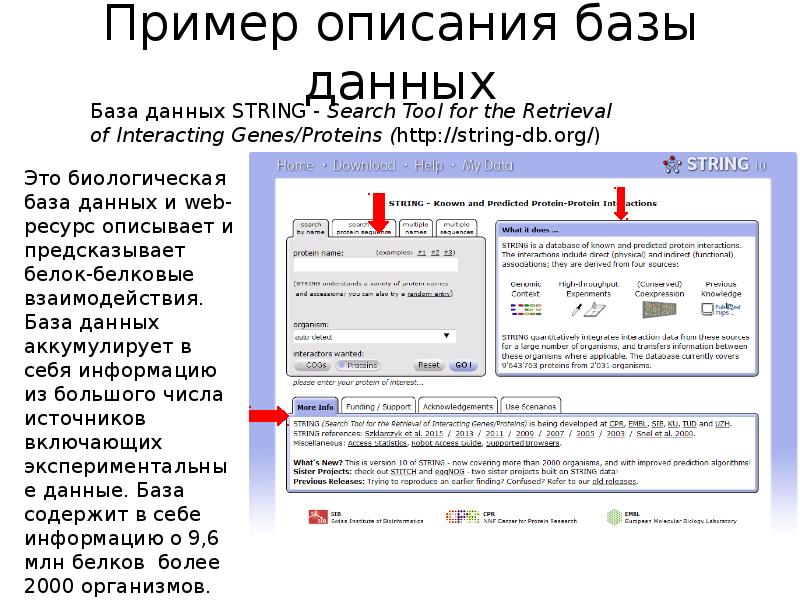 Базы описания товара