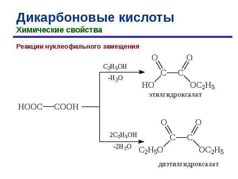 Дикарбоновые кислоты презентация