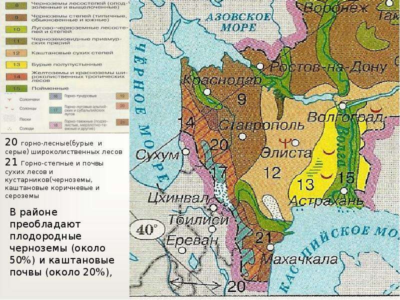 Карта природных зон европейского юга россии