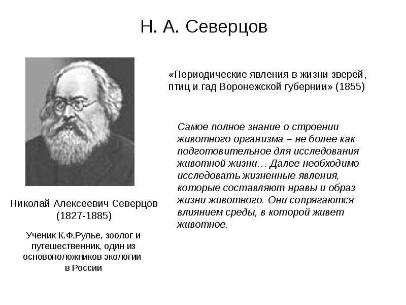 Имя северцова а н. Н.А.Северцов (1827-1885). Вклад Северцова в экологию.