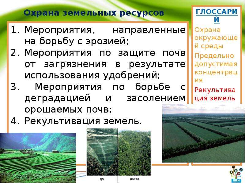 Виды земельных ресурсов. Охрана земельных ресурсов. Мероприятия по охране земельных ресурсов. Земельные ресурсы меры по охране. Земельные ресурсы презентация.