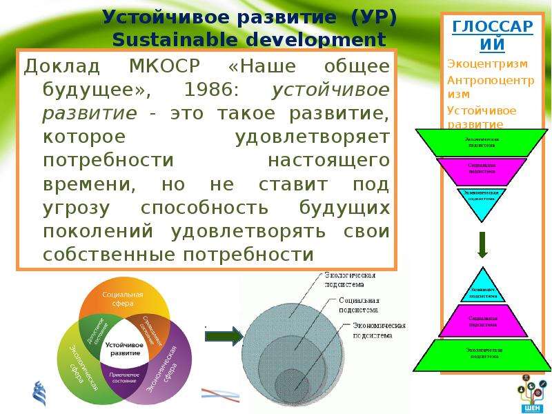 Сущность доклада. Доклад наше общее будущее 1987. Доклад наше общее будущее. Наше общее будущее устойчивое развитие. Наше общее будущее устойчивое развитие доклад.