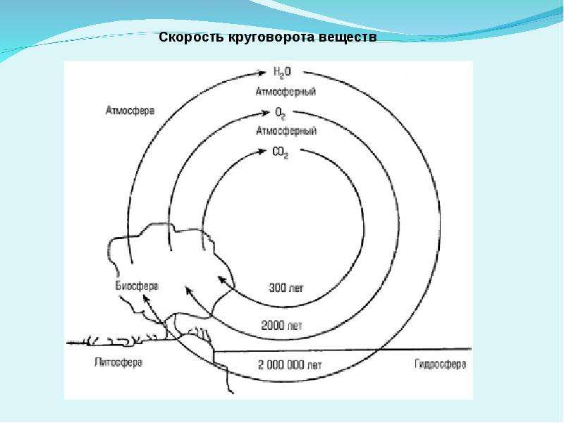 Презентация по биологии 9 класс круговорот веществ в биосфере