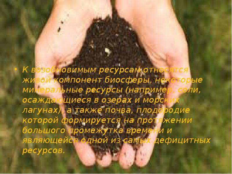 К каким природным ресурсам относятся почвы. Почва как компонент биосферы. Посадка деревьев рациональное природопользование. Для растений ресурсами являются.