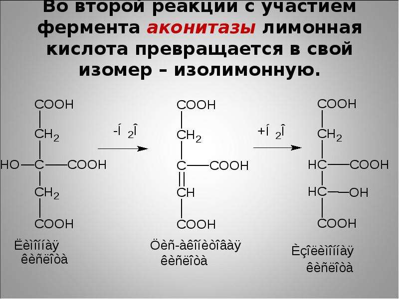 Во второй реакции с участием фермента аконитазы лимонная кислота превращается в свой изомер – изолим