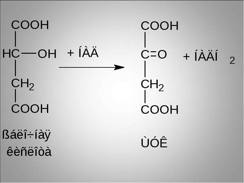 Цикл трикарбоновых кислот (Ц. Кребса). Подсчёт суммарного энергетического эффекта аэробного окисления глюкозы, слайд 27